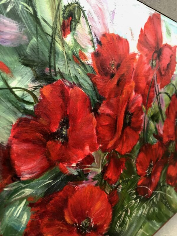 Field poppies4